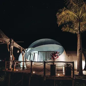 Land Bubble Glamping By Mint אוהל מפואר